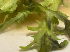 -白石的深夜食堂(济南万象城店)