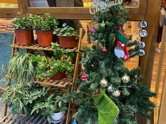 -猫的天空之城概念书店(杭州南宋御街店)