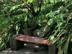-南山植物园
