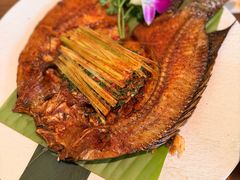 -紫滇源云南生态菜(丹凤街店)