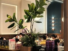 -一沙一城·岩烤牛扒(深圳首店)