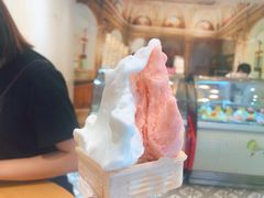 -柠檬车露(卖草地店)