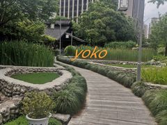 -活水公园