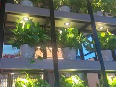-战友蚝情烧烤工场(嘉华店)