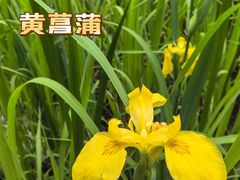 -昆山城市生态森林公园