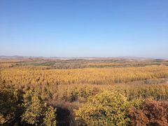 -塞罕坝国家级自然保护区