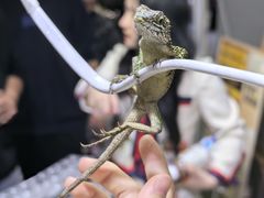 -重庆国际会议展览中心