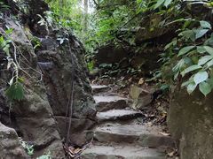 -莫里热带雨林景区