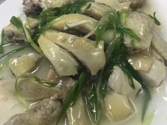 -新陶陶酒家