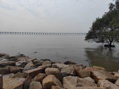 -宝安西湾红树林湿地公园