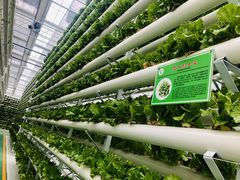 -兰陵国家农业公园