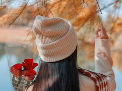 -合肥滨湖国家森林公园