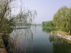 -大兴滨河森林公园