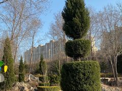 -前关湿地公园