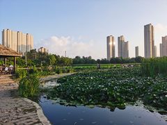 -前关湿地公园