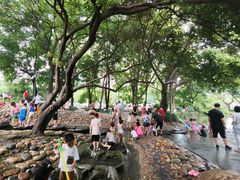 -成都市活水公园