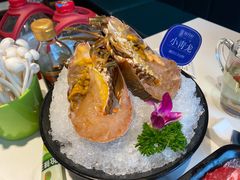 -海月轩海鲜豆捞(紫金塔店)