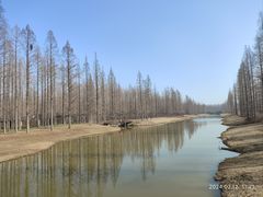 -黄海国家森林公园