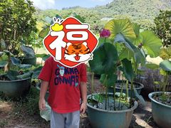 -桂林西站