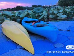 -WhaleSports户外水上运动俱乐部(朝阳公园店)
