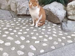 -龙华寺
