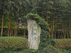 -十八棵（老龙井）御茶园(老龙井店)