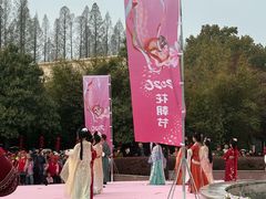 -水杉园