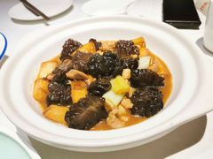 葱烧猴脑菌-阿五黄河大鲤鱼(英协路店)
