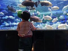 -成都浩海立方海洋公园