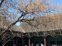 -张学良旧居陈列馆