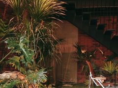 -J Create城市露营咖啡·简餐·宠物(上海动物园店)