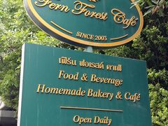 -Fern Forest Cafe