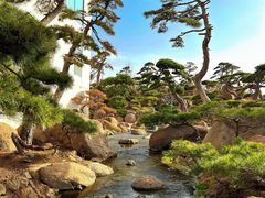 -罗红摄影艺术馆