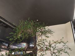 -桂满陇-锦绣江南(万象城店)