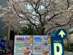 -台场海滨公园船码头