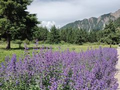 -九寨沟爱情海景区