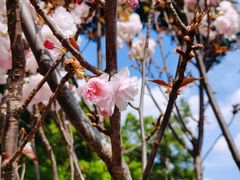 -观澜湖生态运动公社