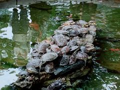 -红螺寺