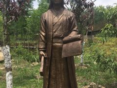 -合肥滨湖国家森林公园