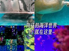 -正佳极地海洋世界