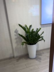 -安徽合肥韩美整形外科医院