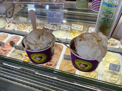 -Dooley's Premium Ice Cream