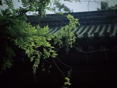 -西安大兴善寺