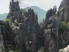 -玉石林风景区