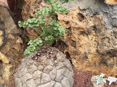 -南通洲际绿博园