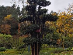 -牛头山森林公园
