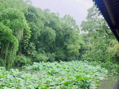 -三苏祠