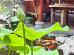 -道南書院·私房菜·早午茶·茶馆