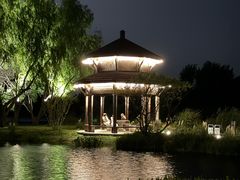 -渤公岛生态公园