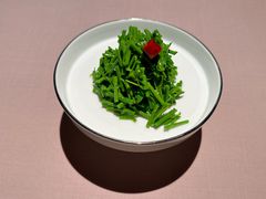 呛拌辣木苗-新荣记(南京西路店)